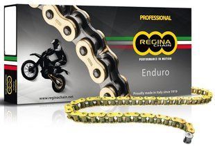 Ланцюг Regina ZSE Chain - 520 Gold, 520-120L / Seal Ring
