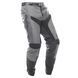 Штани FASTHOSE Carbon Method Gray/Black 30