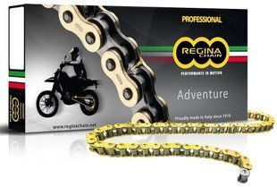Ланцюг Regina ZRE Chain - 520 Gold, 520-118L / Seal Ring